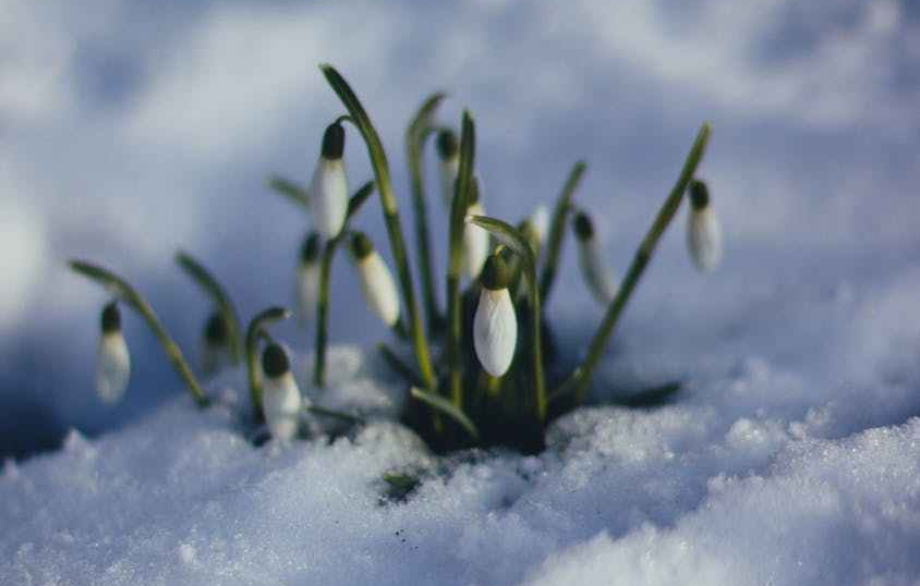 snow ice winter cold